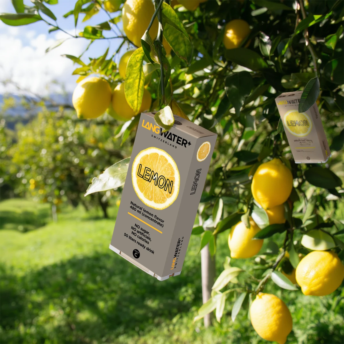 Langwater+ Lemon Flavour Langpak (UK)