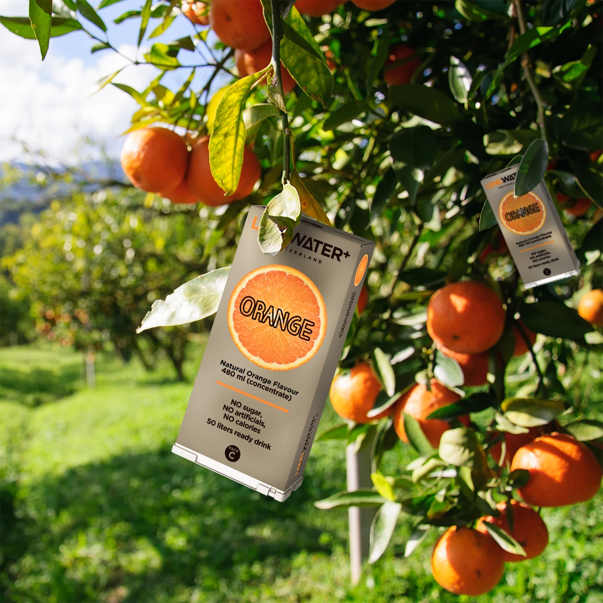Langwater+ Orange Flavour Langpak (UK)