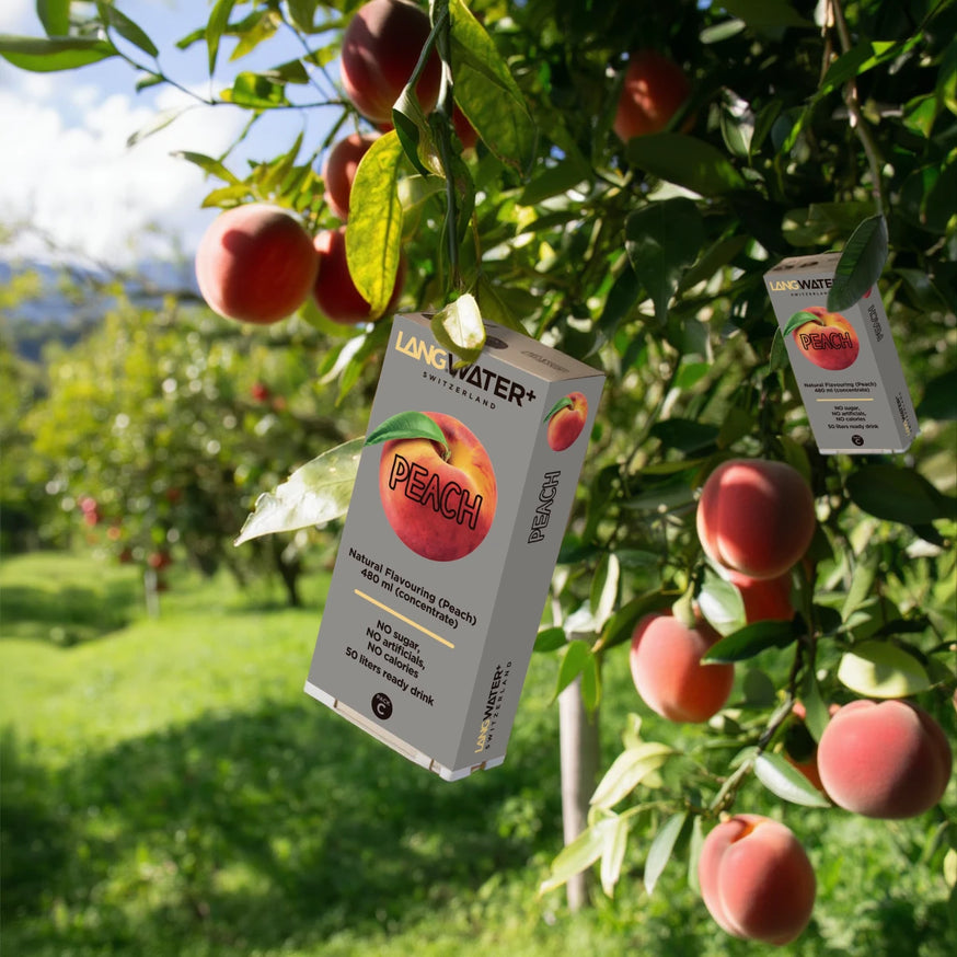 Langwater+ Peach Flavour Langpak (UK)